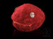 'Furry Animal' Contact Ball Bag - Oddballs