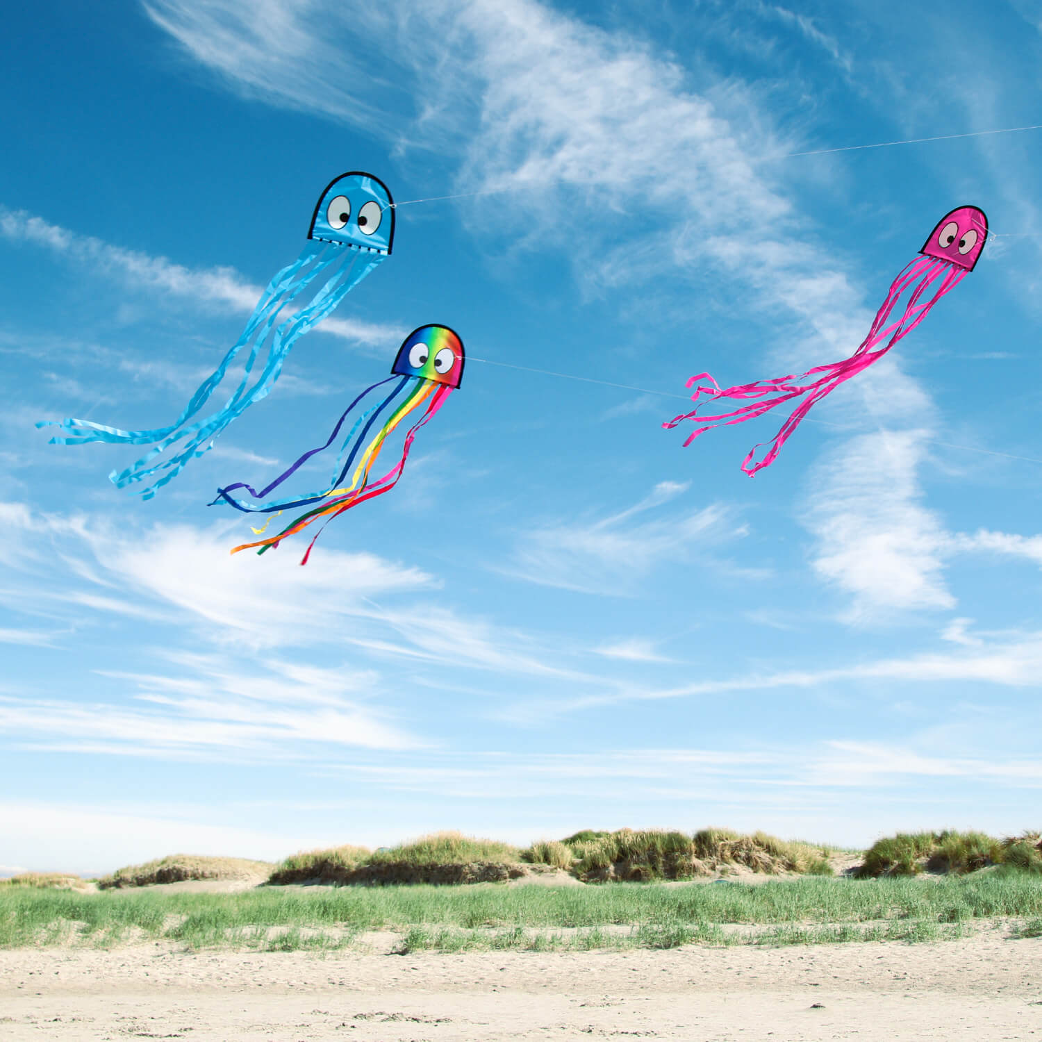 Wolkenstuermer Mini Octopus Delta Single Line Traditional Flying Kite - 150cm