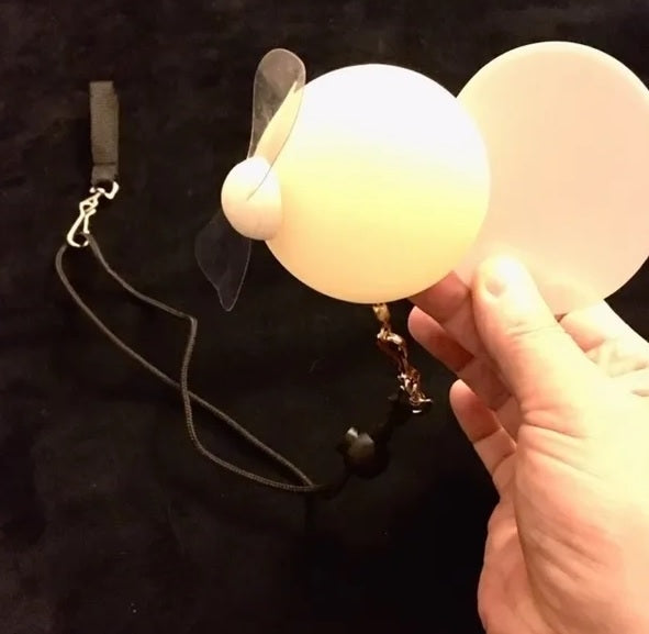 LED Propeller Poi