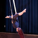 Prodigy Cotton Covered Aerial Straps