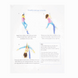 Beginner's Guide to Aerial Silk by Jill Franklin