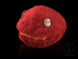 'Furry Animal' Contact Ball Bag - Oddballs