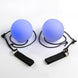 LED Poly Poi Set - blue colour