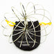 Juggle Dream Infinity Ring with bag - golden colour