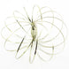 Juggle Dream Infinity Ring - golden colour