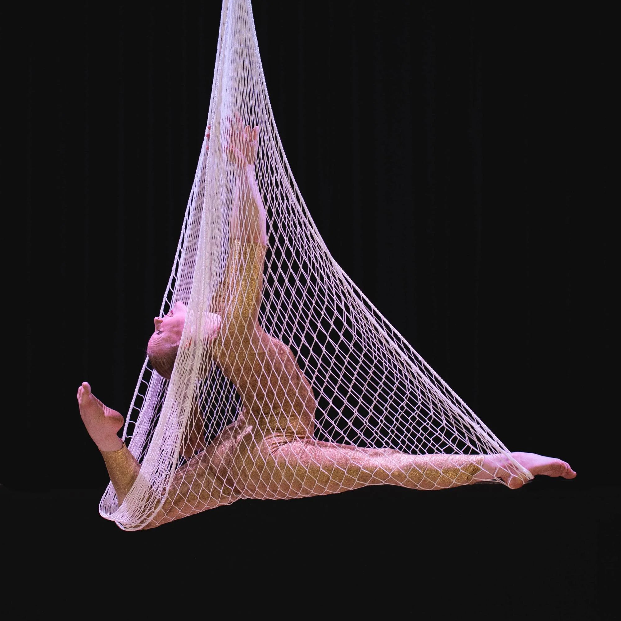 Prodigy Aerial Net