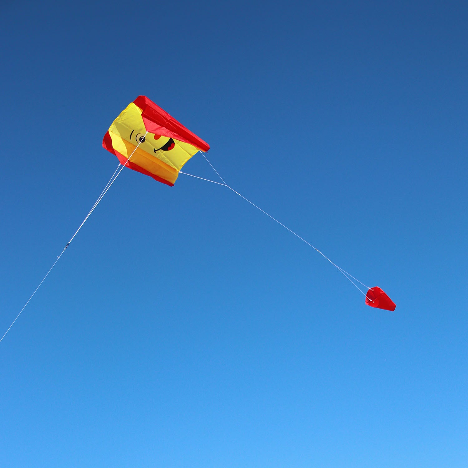 Wolkensturmer Single Line Sled Kite - Smile