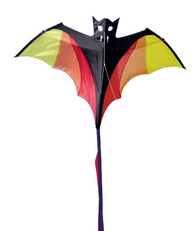 Wolkensturmer Fledermaus Kite