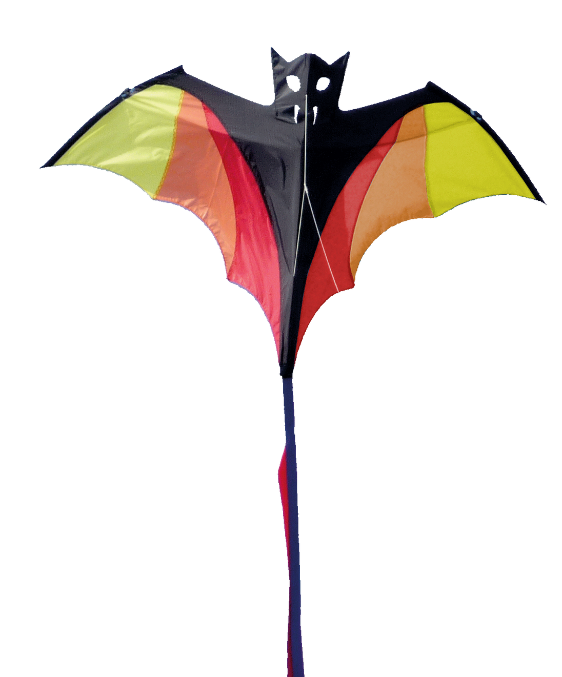 Wolkensturmer Fledermaus Kite