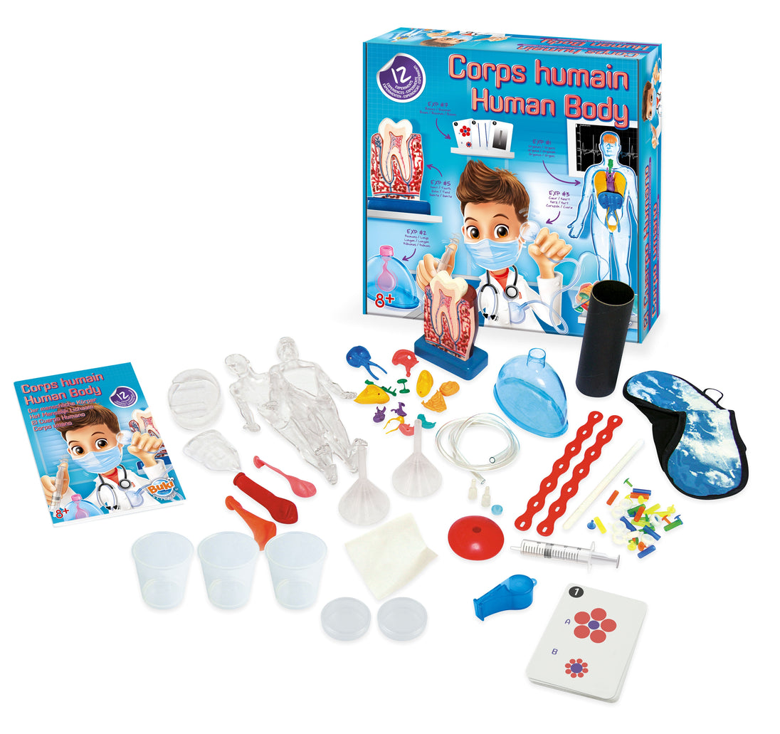 Body Model Experiments BUKI Human Body Experiment Kit
