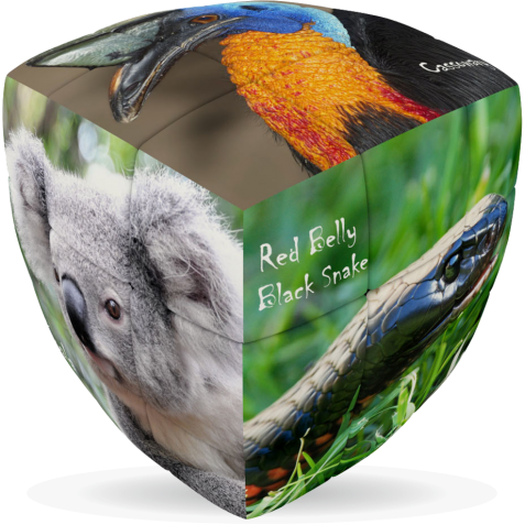 V-Cube 3 x 3 x 3 Australian Animals Puzzle Cube