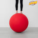 BALANCE AND WALKING GLOBE 75cm