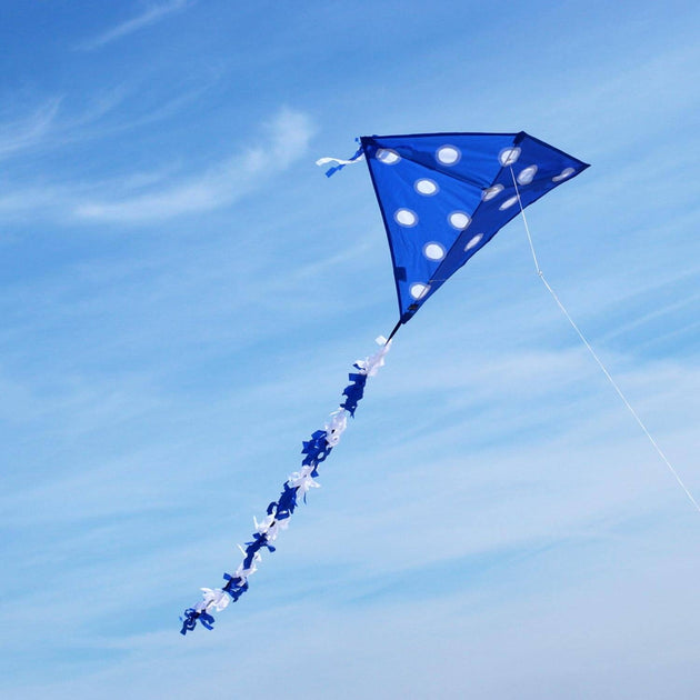 Eddy Dots (Blue)