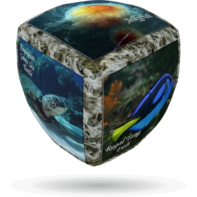 V-Cube 2 x 2 x 2 Sea World Puzzle Cube