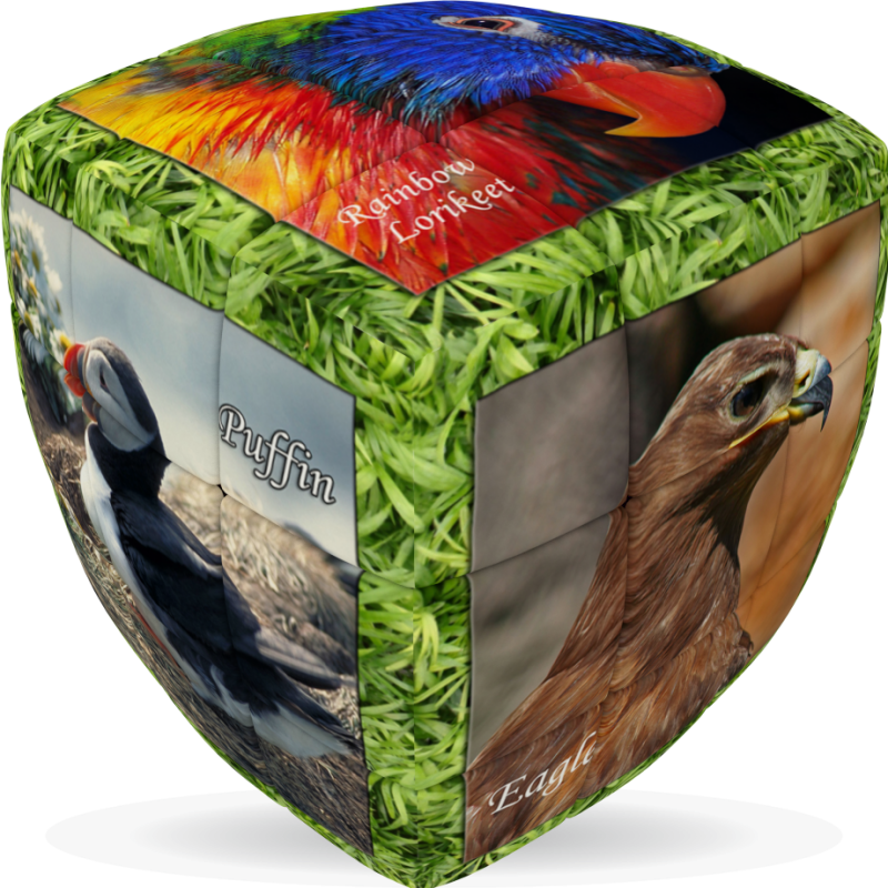 V-Cube 3 x 3 x 3 Unique Birds Pillow Cube